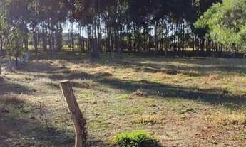 Imagem 3: Lindo terreno aproximadamente 600mts do asfalto da Ambev