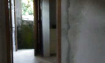 Imagem 5: CASA COMERCIAL AGRONOMICA FLORIANPOLIS SC