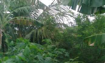 Imagem 2: VENDE-SE DUAS TAREFAS DE TERRA