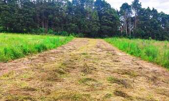 Imagem 5: Lote/Terreno para venda possui 500 metros quadrados em Embu Colonial - Embu das Artes - SP