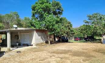 Imagem 5: Excelente Chácara 4 hectares