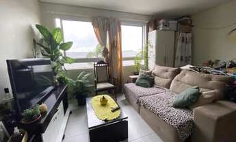 Imagem 5: FARROUPILHA - Padrão - São Francisco