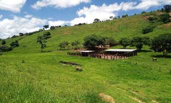 Imagem: Fazenda no Marilac/MG - 39 Alqueires