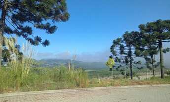 Imagem 3: 2 Terrenos juntos 520,70m2 + 590,81m2 de frente para a vínicola argenta