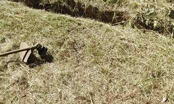 Imagem 3: Casa 2 quartos condomínio fechado