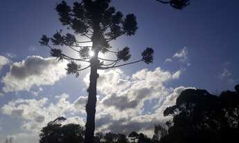 Imagem 3: Aluguel APT em Piraquara