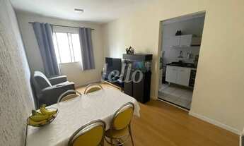 Imagem 2: São Paulo - Apartamento Padrão - Belém