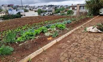 Imagem 1: Terreno para venda possui 550² Ronda Alta - RS