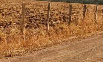 Imagem 2: Fazenda pra arrendamento