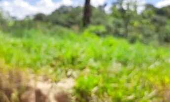 Imagem 3: Chacara de 1.000m2 em Betim