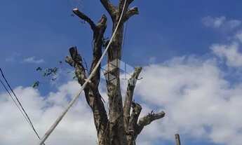 Imagem 6: Terreno 333,50m² à Venda no Parque Residencial Igara - Canoas!!