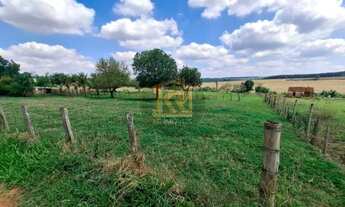 Imagem 6: CEDRAL (SP) Sítio com 2 alqueires