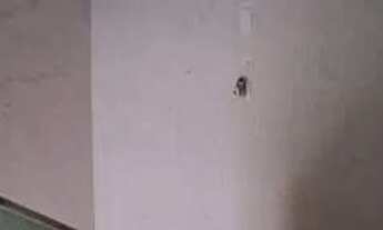 Imagem 3: Apartamento em Montes Claros, no bairro Ibituruna, à venda