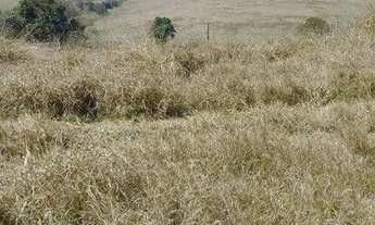 Imagem 6: Terreno à venda no Bairro do Rio Abaixo, na cidade de Tuiuti/SP