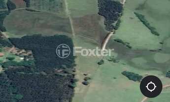 Imagem 3: Fazenda / Sítio / Chácara à venda Rodovia TF-10, Passo Fundo - Triunfo