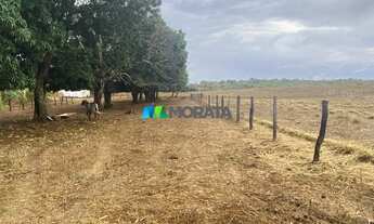 Imagem 3: FAZENDA À VENDA - 275 HECTARES - REGIÃO DE CURVELO (MG