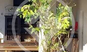 Imagem 3: SITIO - Jabuticaba codigo: 120076