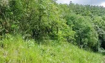 Imagem 2: Área de terra bairro Joaneta, Picada Café.RS REF: 473