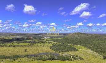 Imagem 7: FAZENDA PRODUTIVA DUPLA APTIDÃO 100 % PLANA - AGRICULTURA/PECUÁRIA - PLANALTINA GOIÁS