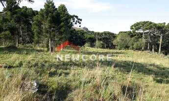 Imagem 2: Sítio em Interior - Lageado Grande - São Francisco de Paula/RS
