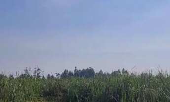 Imagem 7: Velleda oferece lindo sítio 1 hectare em condomínio fechado, centro de Águas Claras