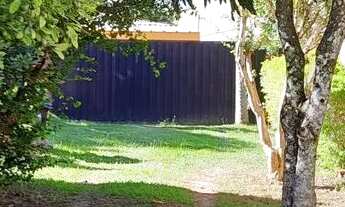 Imagem 5: LINDA CHACRINHA CAXAMBU