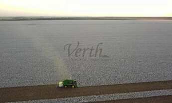 Imagem 7: Fazenda à Venda 3.300 ha Nova Mutum -MT