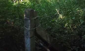 Imagem 5: Terreno disponível para venda, um investimento a longo prazo, Ratones, Florianópolis/SC