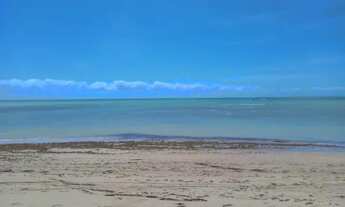 Imagem 6: Terrenos Lages-Porto de Pedras-Alagoas