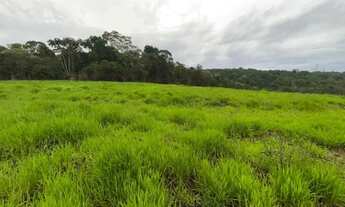Imagem: Terreno para Venda em Mogi das Cruzes, Cocuera