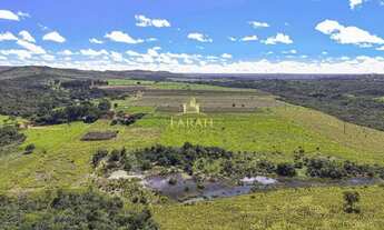 Imagem 6: FAZENDA PRODUTIVA DUPLA APTIDÃO 100 % PLANA - AGRICULTURA/PECUÁRIA - PLANALTINA GOIÁS