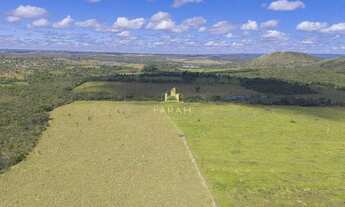 Imagem 2: FAZENDA PRODUTIVA DUPLA APTIDÃO 100 % PLANA - AGRICULTURA/PECUÁRIA - PLANALTINA GOIÁS