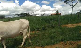 Imagem 15: Fazenda a venda Fazenda / sítio com venda por R$15.000.000