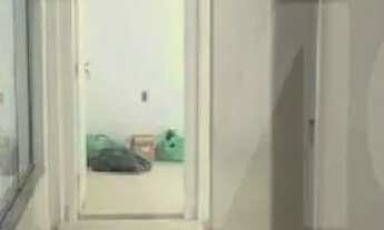 Imagem 3: Loteamento Recife