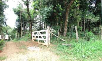 Imagem 7: Chácara à venda Bairro Contenda em São José dos Pinhais