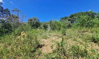 Imagem 5: Fazenda à Venda com 20 alqueires - Hidrolândia