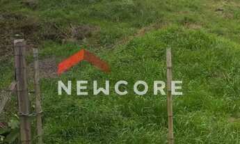 Imagem 3: Lote em Marechal Floriano - Centro - São Francisco de Paula/RS