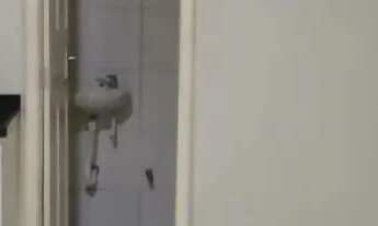 Imagem 5: ALugo flat sem mobilia