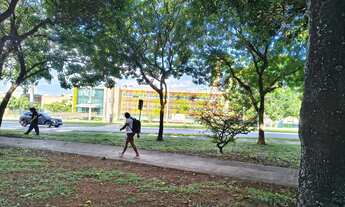 Imagem 4: Alugo excelente apartamento 3 quartos na 410 Norte no 1? andar