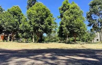 Imagem 3: Área em Terezópolis de Goiás