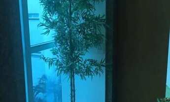 Imagem 7: APARTAMENTO - MOOCA - SP