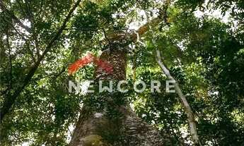 Imagem 3: Lote em Nao tem - Morro do Cruzeiro - Lagoa Santa/MG