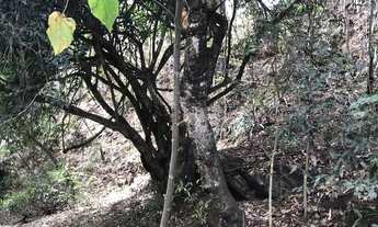 Imagem 2: CHÁCARA PRÓXIMA BARRAGEM COPASA