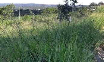 Imagem 7: Lote com 366 m² apenas R$ 28.000,00