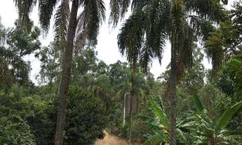 Imagem 3: Sítio com 61.710m² à venda na Estrada do Pau D´Alho em Itu!!