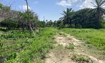 Imagem 7: VENDO TERRENO BEIRA DO RIO mede 15529m2 - CARNAÚBAL/BARREIRINHAS/MA