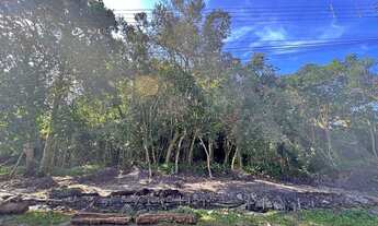 Imagem 4: Terreno em Boracéia