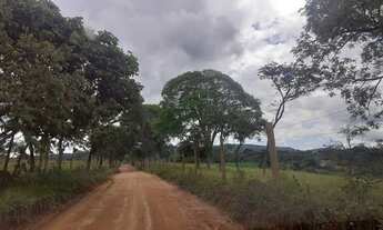 Imagem 6: Realize seu sonho de ter uma chácara hoje mesmo!