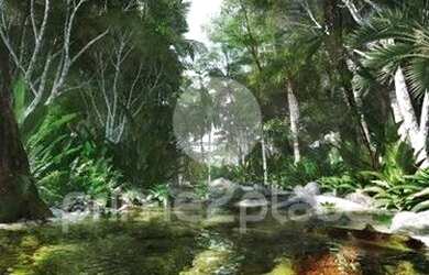 Imagem 7: SãO PAULO - Padrão - Jardim das Acácias