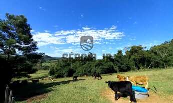 Imagem 5: Sítio com 12h, casa, quiosque, piscina em Triunfo - Aceito veículos